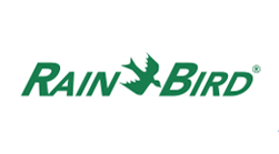 Logotipo de pájaro de lluvia