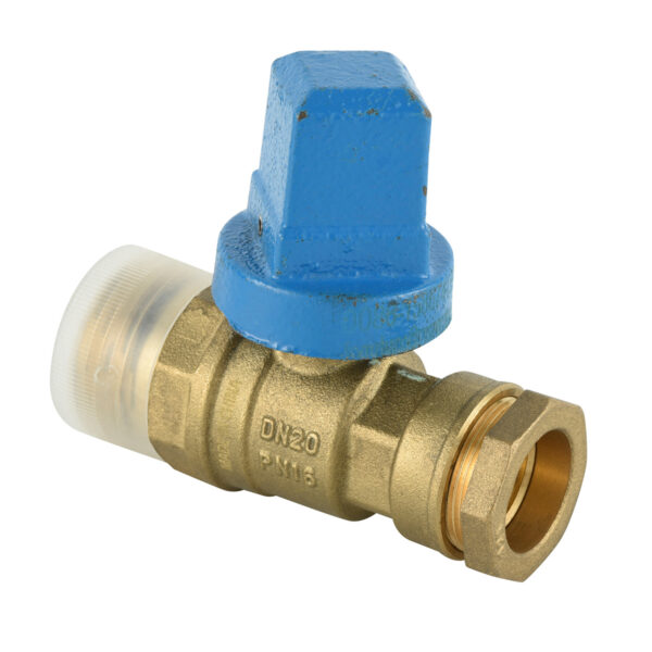 BW-F06B Brass PEC VALVE with ductile iron or plastic handle straight type (1)