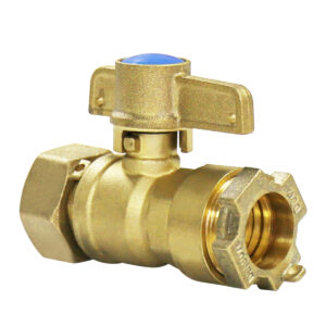 BW-L01 brass straight lockable valve with PE end (2)