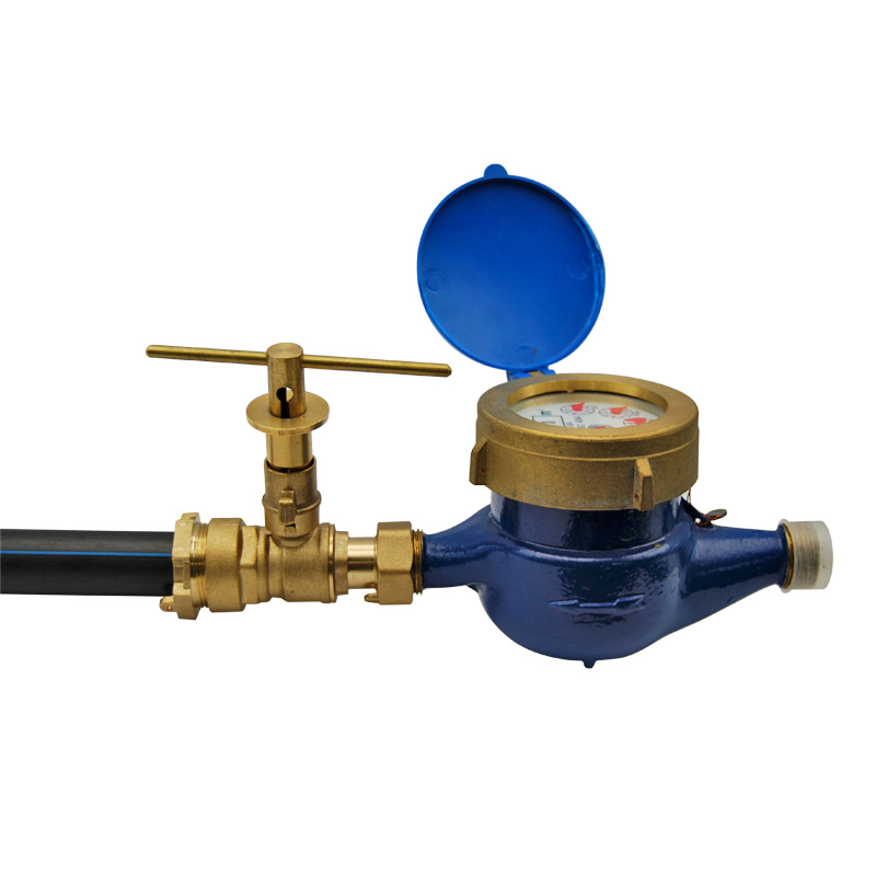 BW-L01 with water meter (3)