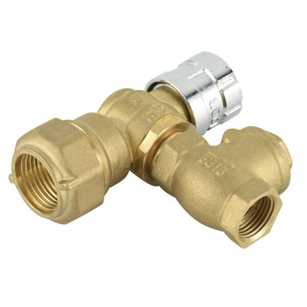 BW-L04C angle lockable valve with check valve (1)
