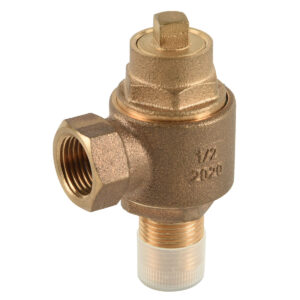 BW-Q09 gunmetal ferrule valve perempuan (1)