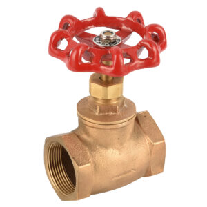 BW-Q14 Bronze globe valve with castiron handlewheel (2)