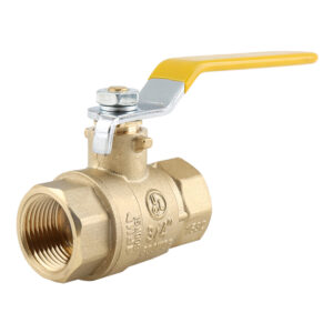 BW-USB01 CSA gas valve FxF long handle (1)