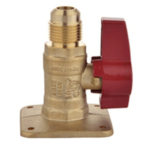 BW-USB06-FLG CSA gas valve Flange x Flare