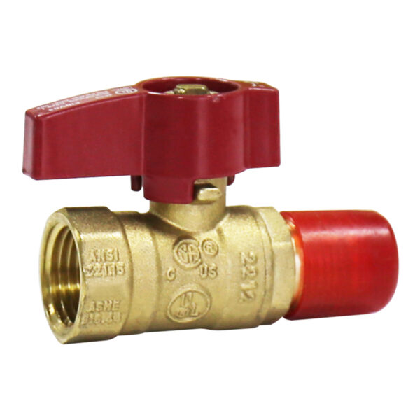 BW-USB06 brass CSA gas valve Female x Flare (3)