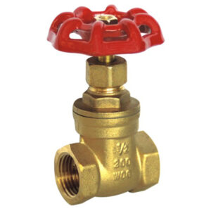 BW-G01 200WOG brass gate valve with castiron handwheel (1)
