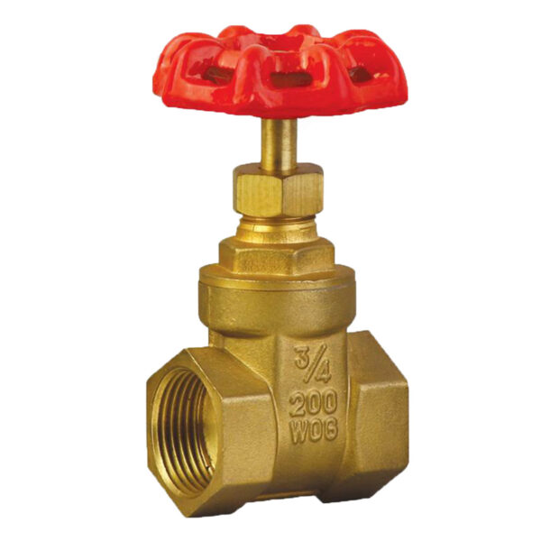 BW-G02 Brass gate valve with castiron handle light type (1)