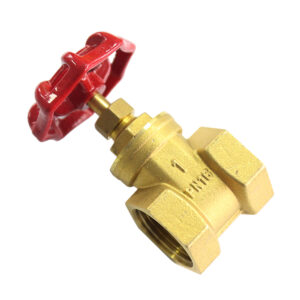 BW-G02 Brass gate valve with castiron handle light type (2)