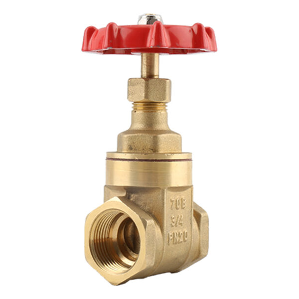 BW-G05 Brass gate valve with Alu handwheel Iran type (2)