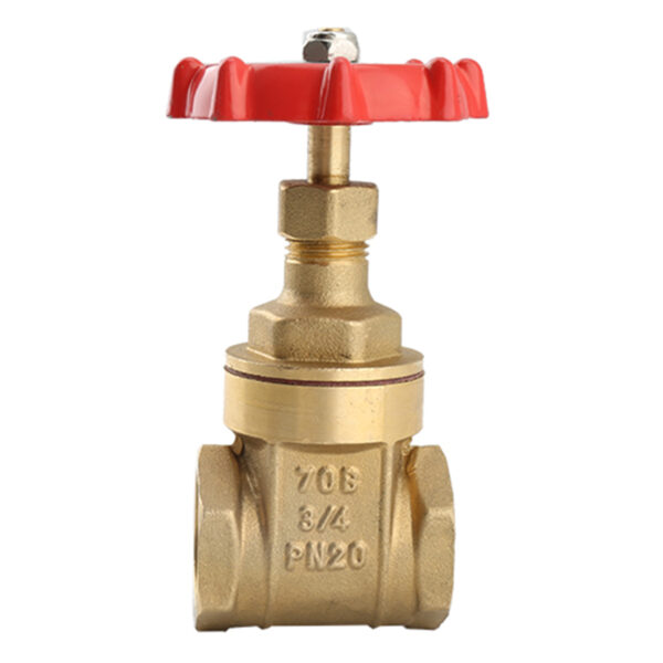 BW-G05 Brass gate valve with Alu handwheel Iran type (3)