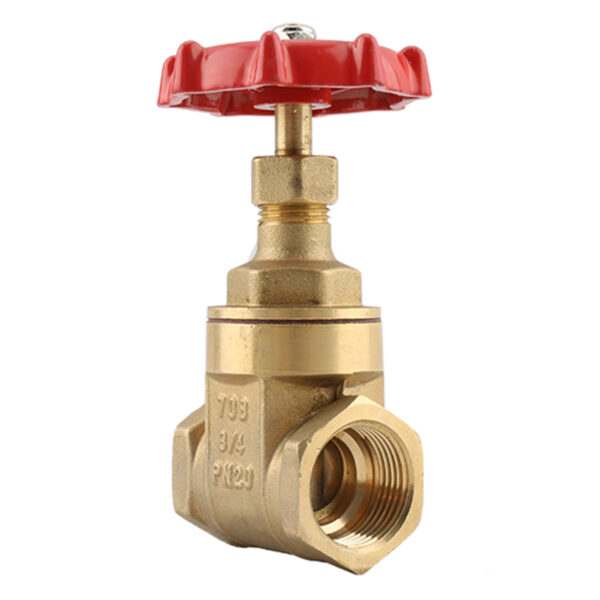 BW-G05 Brass gate valve with Alu handwheel Iran type (4)