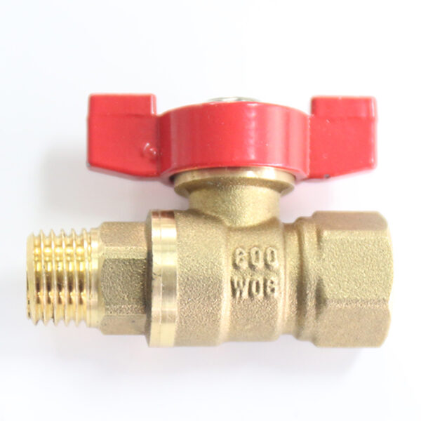 BW-LFB04 lead free brass ball valve with T handle FxM (2)