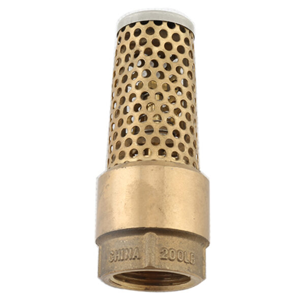 BW-LFC04 LF brass foot valve (2)