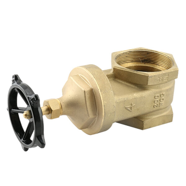 BW-LFG01 No lead brass FF gate valve (2)
