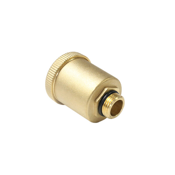 BW-R12 brass air vent valve (4)