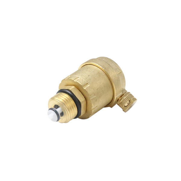 BW-R35 brass air vent valve (2)