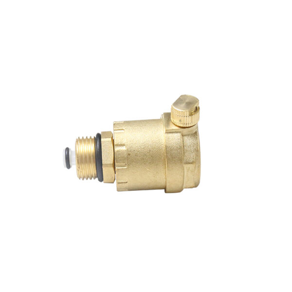 BW-R35 brass air vent valve (3)
