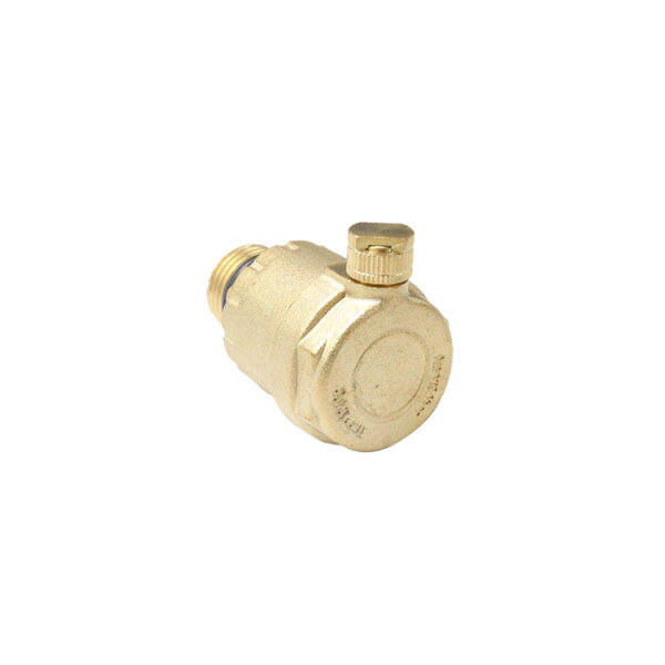 BW-R35 brass air vent valve (4)