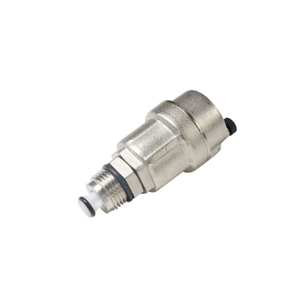 BW-R40 automatic air vent valve (2)