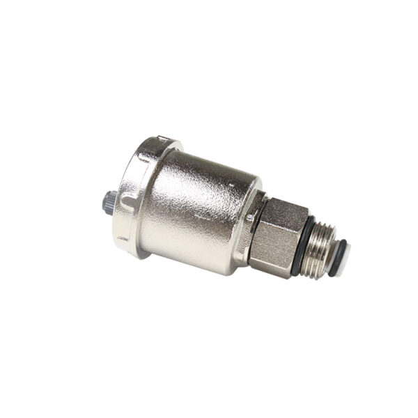 BW-R44 automatical relief air vent valve (2)