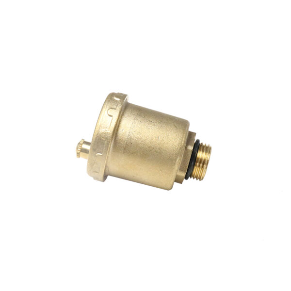 BW-R46 brass pressure relief air vent valve (4)