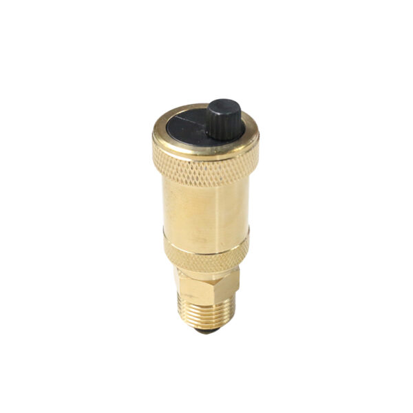 BW-R47 brass air release valve for boiler (2)
