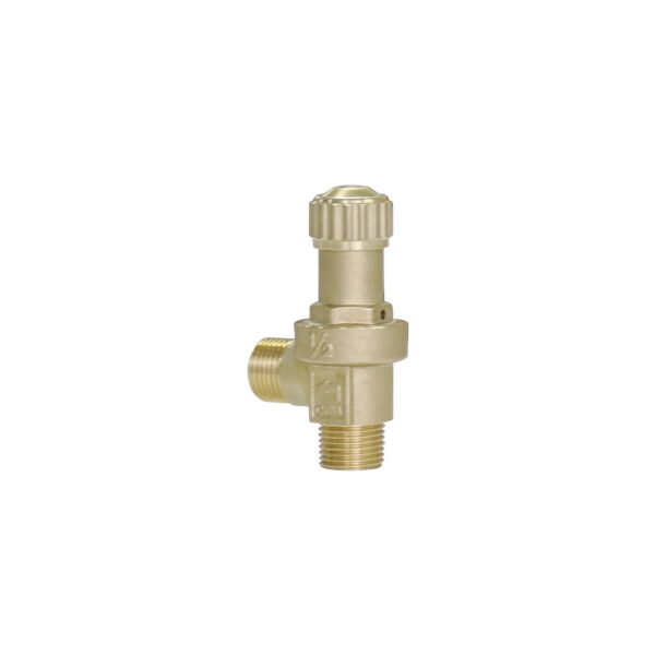 BW-R48 air release vent pressure reduce valve (4)