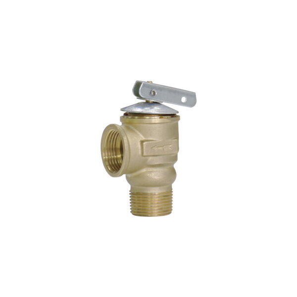 BW-R49 safety relief valve pressure release valve (2)