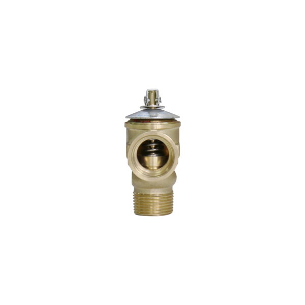 BW-R49 safety relief valve pressure release valve (3)
