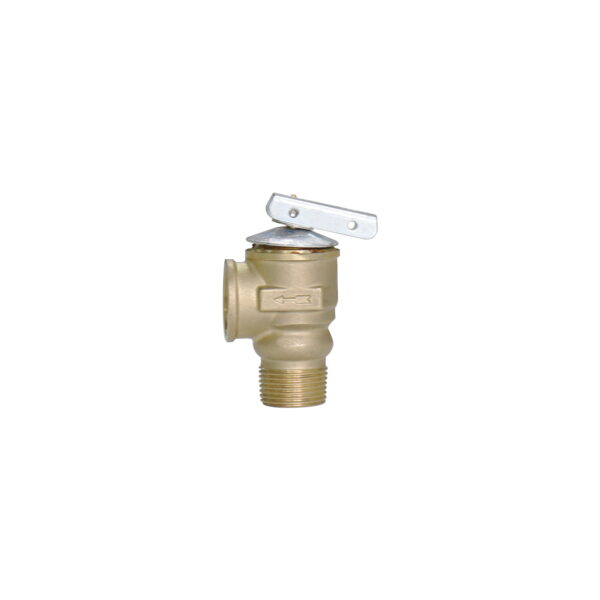 BW-R49 safety relief valve pressure release valve (4)