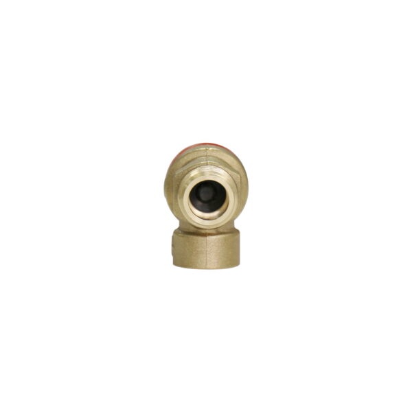 BW-R50A safety air release valve (2)