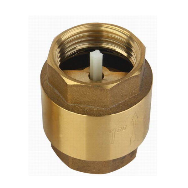 BW C03 Brass Check Valve With Plastic Core (1)