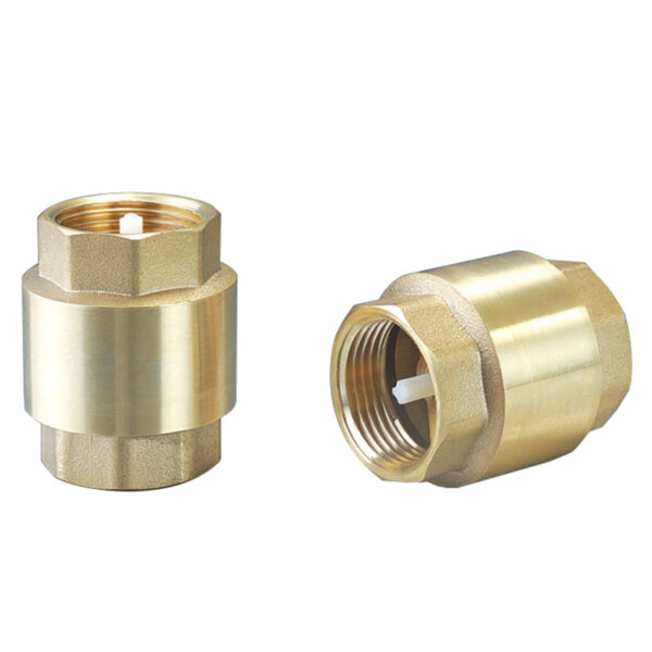 BW C03 Brass Check Valve With Plastic Core (2)