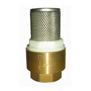 BW C09 Brass Spring Check Valve With Filter (1)