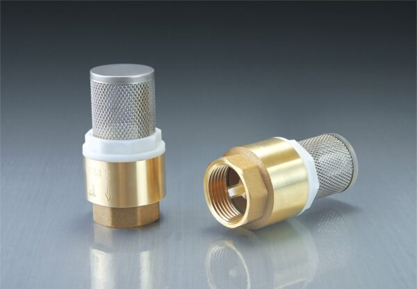 BW C09 Brass Spring Check Valve With Filter (2)