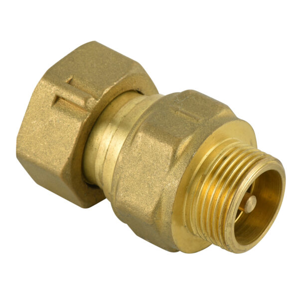 BW C15A Male Sping Check Valve With Swivel Nut (1)