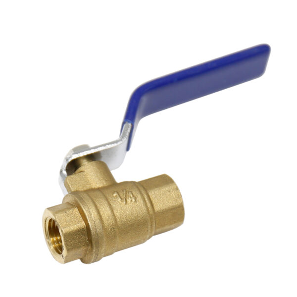 BW B01 0.25 Shut Off Valve