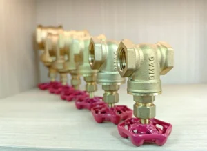 Brass Gate Valve Sample Display